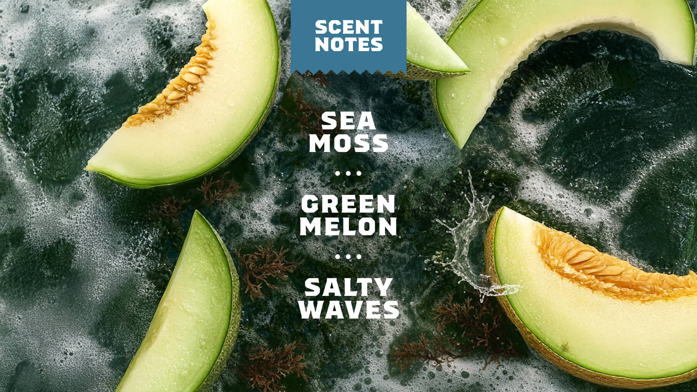 Coastal Mist Invisible Glide Deodorant - Image 4