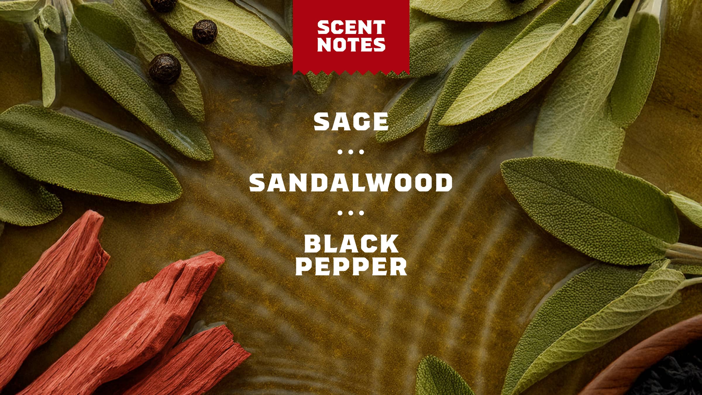 Sandalwood Summit Invisible Glide Deodorant - Image 4