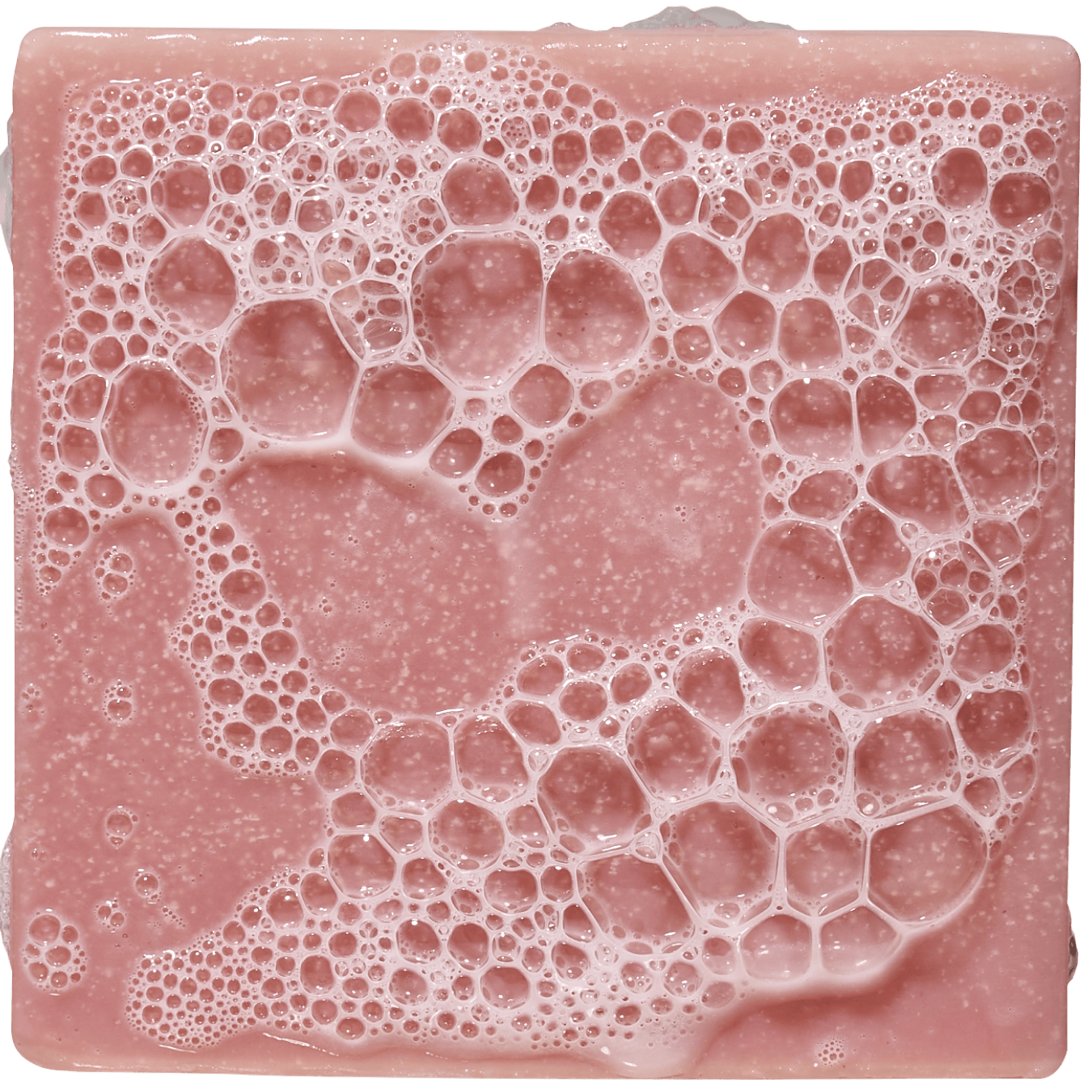 Sea Star Shenanigans - Image 2