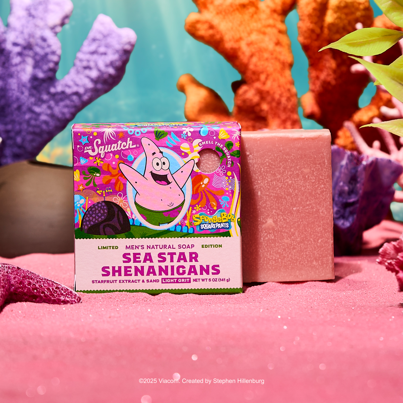 Sea Star Shenanigans - Image 6