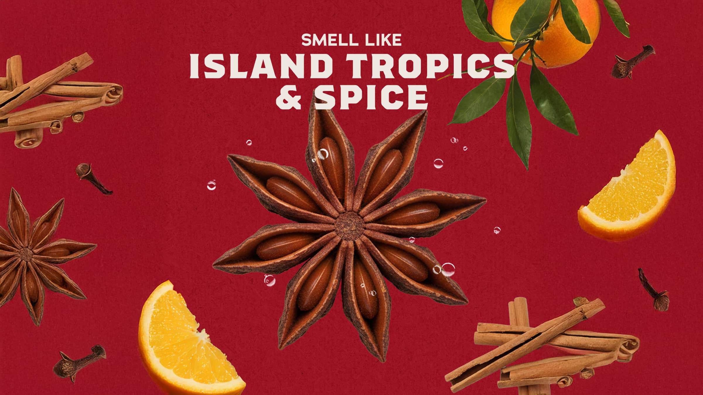 Bay Rum - Image 3